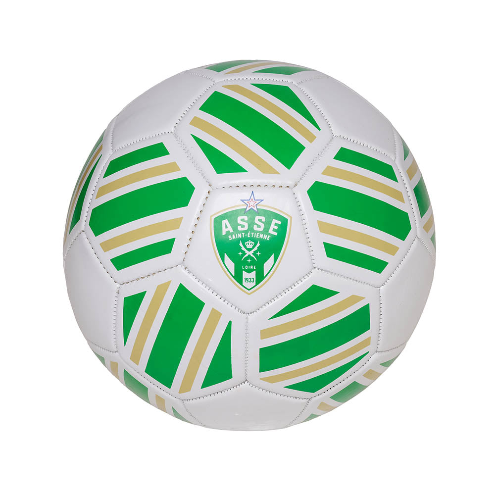 AS Saint-Etienne Football Kit