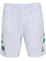 Short De Bain Officiel AS Saint-Étienne - Taille Enfant Garçon - 100% Polyester - 3