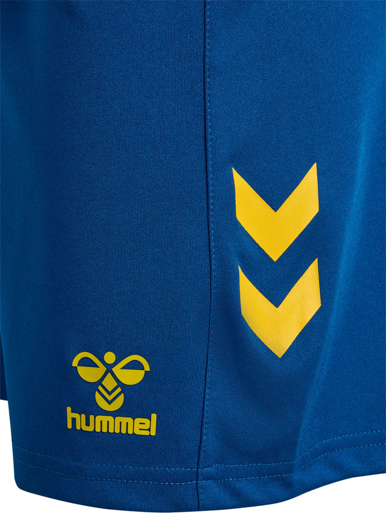 ASSE 2024-2025 blue goalkeeper shorts