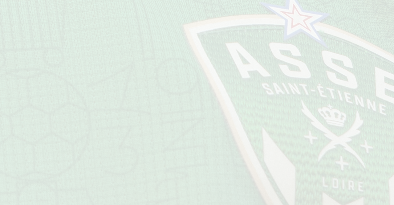 Combat Des Supporters De Saint-Etienne Pour La Dissolution Green Angels Et Magic Fans Combat Des Supporters De Saint-Etienne Pour La Dissolution Green Angels Et Magic Fans