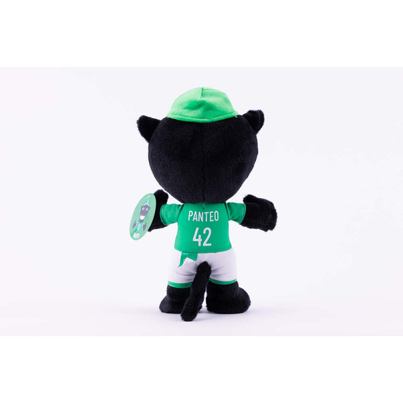 ASSE PANTEO PLUSH