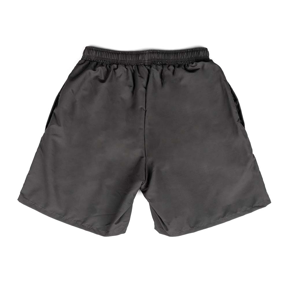 ASSE grey swimming shorts