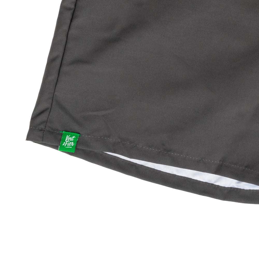 ASSE grey swimming shorts